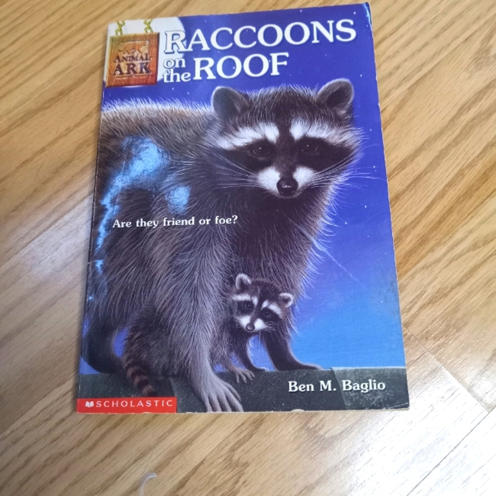 Children's book Raccoons on the roof by Ben. M. Baglio.
